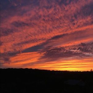 Meet your Posher, Brittny